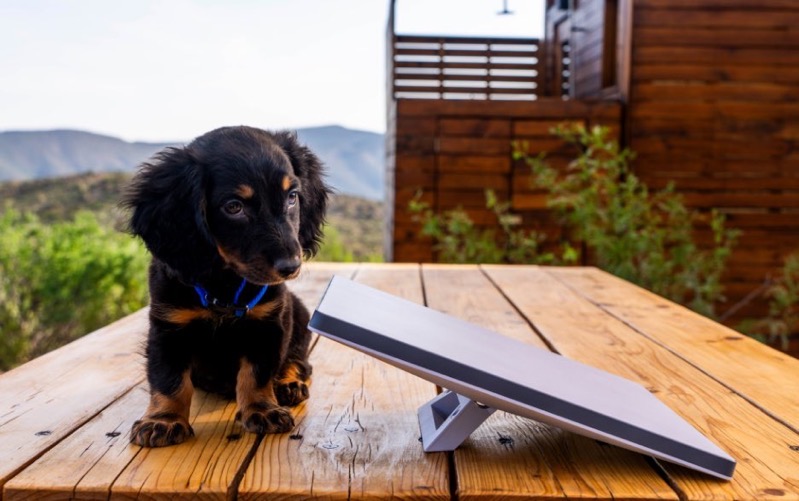 Best for Mini - Magnetic Base on Steel Roof