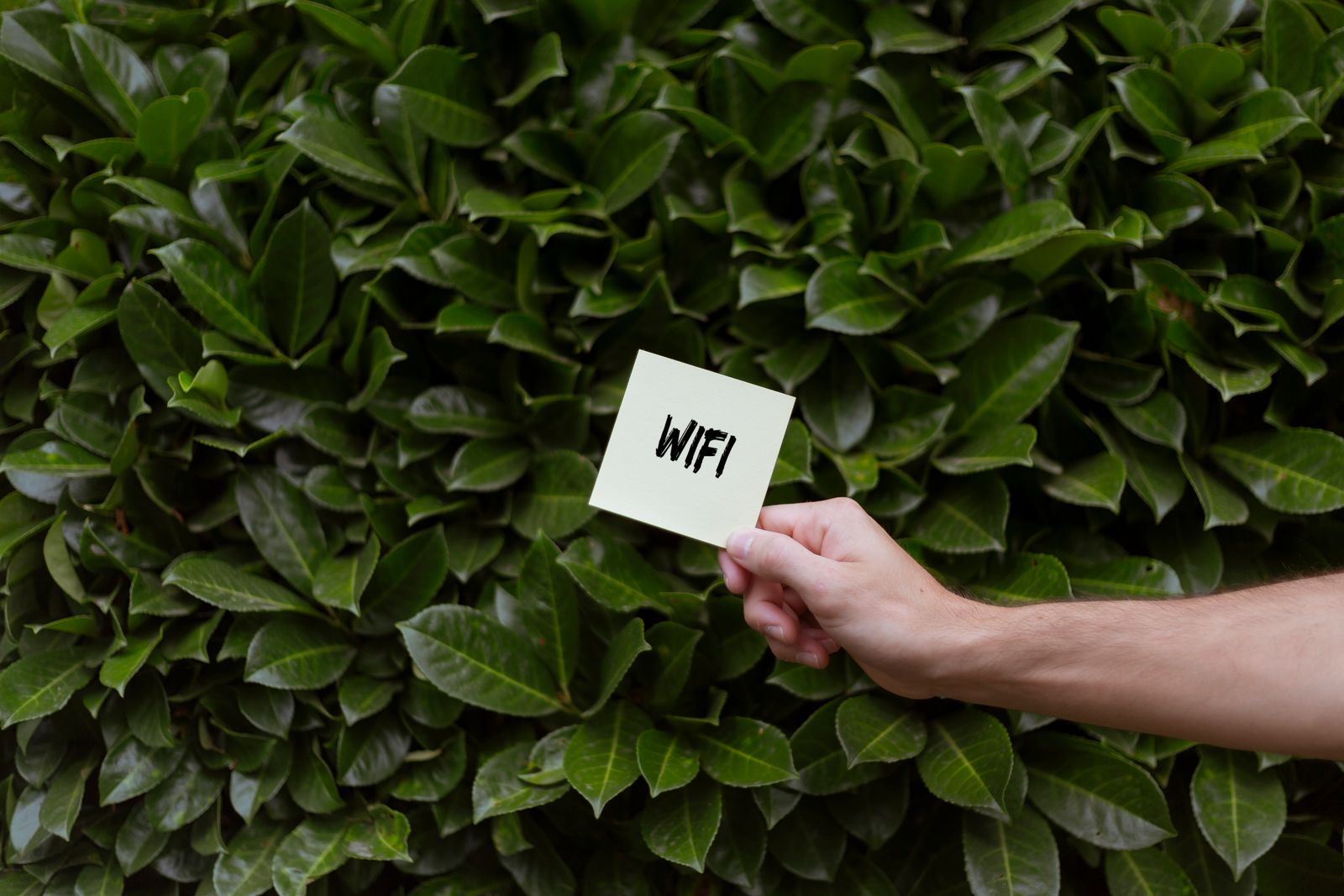 2 pack mesh wifi system