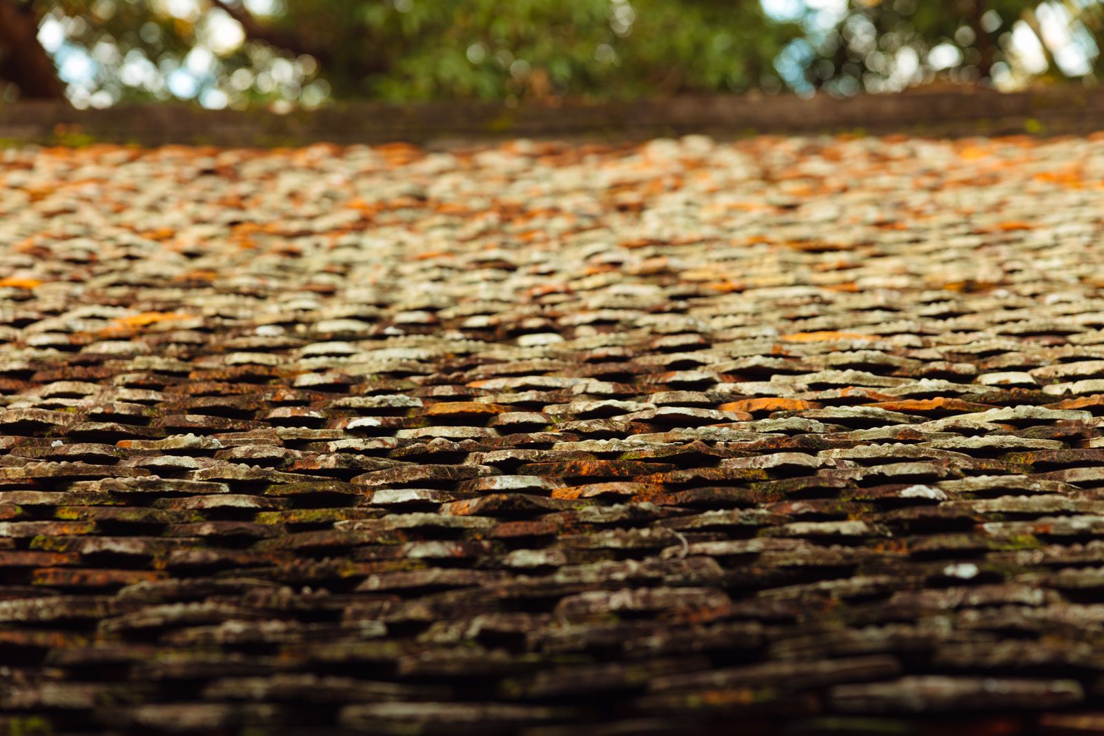 Cracked caulk seal on weathered roof