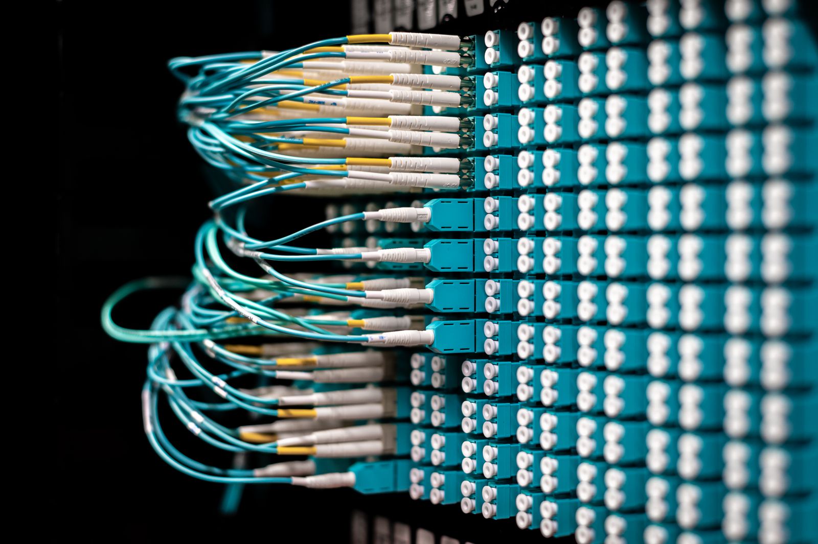 cat6 outdoor ethernet cable